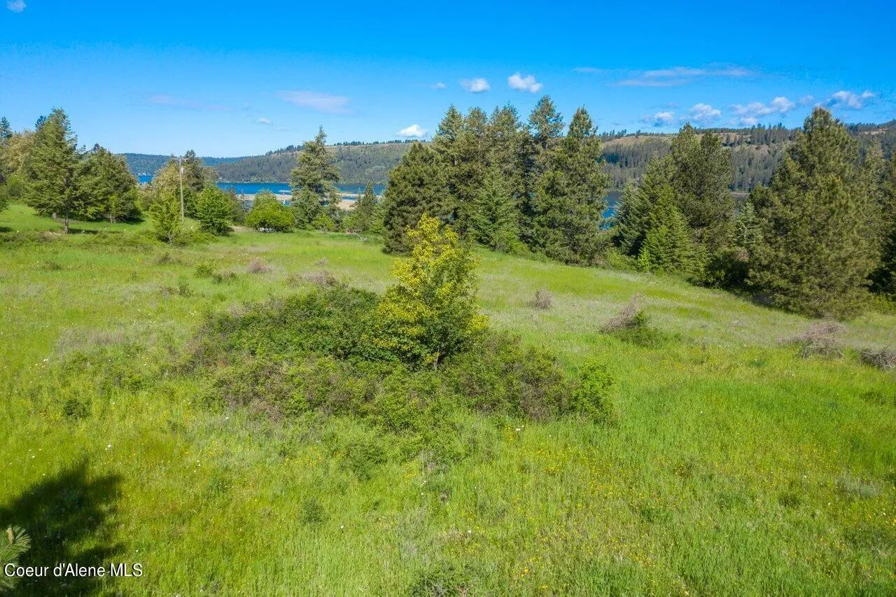 Ariel View 7 Land for sale in Harrison Idaho